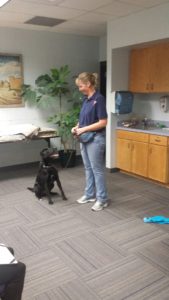 Katleen and dog getting ready to "work" the room.